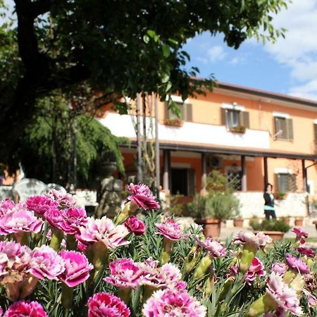 Piedimonte San Germano B&B Casale Shanti מראה חיצוני תמונה