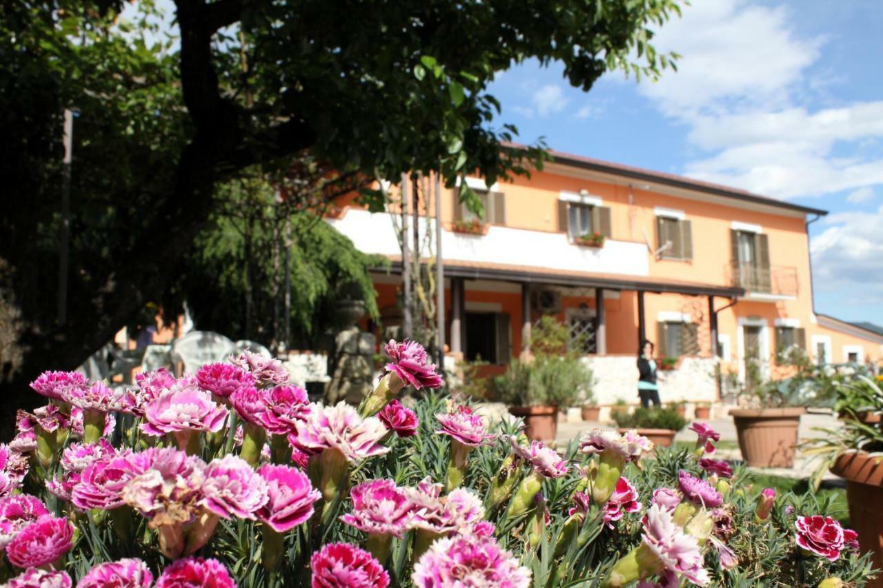 Piedimonte San Germano B&B Casale Shanti מראה חיצוני תמונה